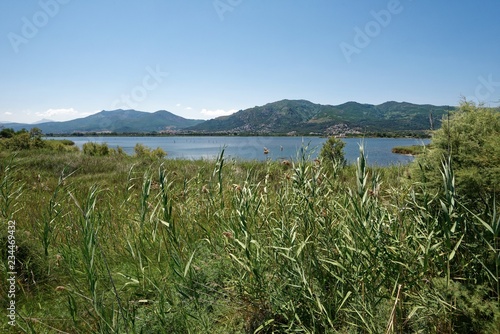 Korsika - Naturreservat Etang de Biguglia photo