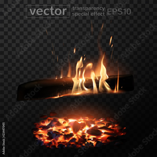 Burning fire in the fireplace. Firewood, coals, sparks, smoke. The effect of transparency. Highly realistic illustration.