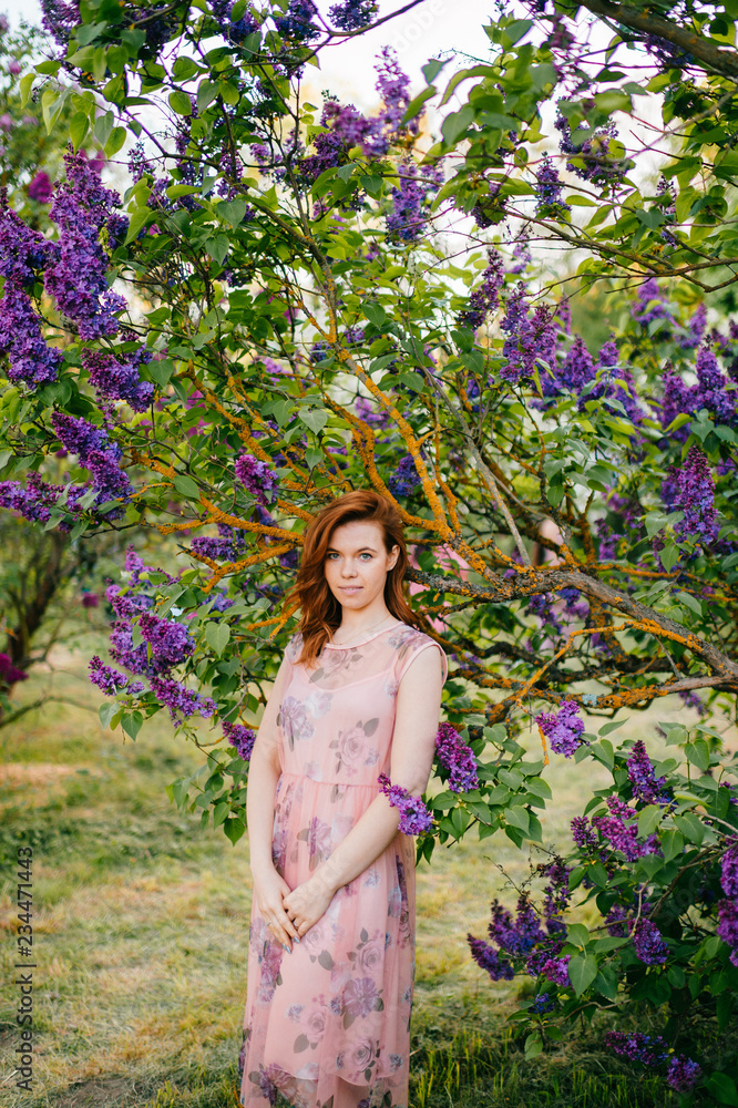 Pretty young brunette girl posing in blooming lilac tree with dark blue flowers outdoor in park. Nice looking tender happy cheerful woman wearing pink stylish feminine dress. Cute female adore nature. Pretty young brunette girl posing in blooming lilac tree with dark blue flowers outdoor in park. Nice looking tender happy cheerful woman wearing pink stylish feminine dress. Cute female adore nature.