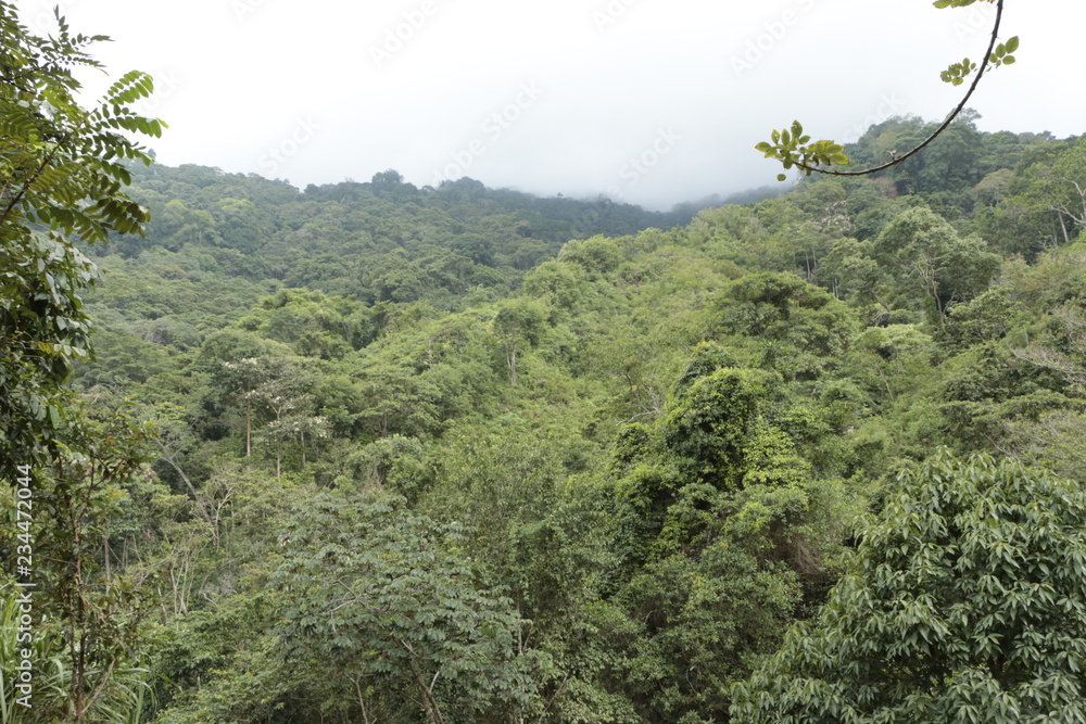 Obraz premium Colombıa Tayrona