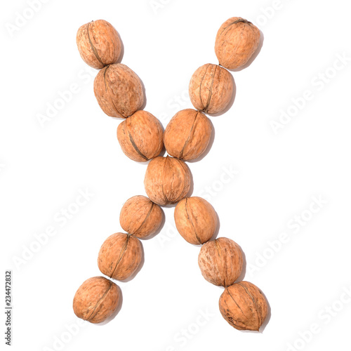 Letter X made with nuts to form a letter of the alphabet. Fruit letters on a white background.