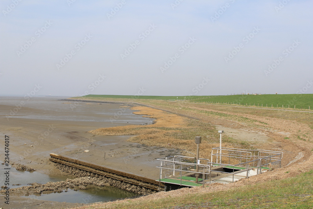 a beautiful colored salt marsh along the sea wall in autumn a beautiful colored salt marsh along the sea wall in autumn