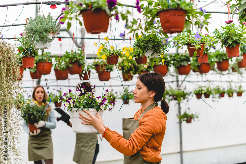 Florists working in greenhouse