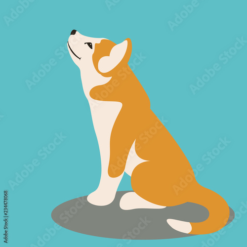 dog puppy husky, vector illustration ,flat style,