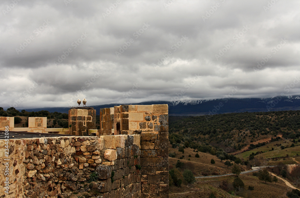 Obraz premium Storks on wall and winter landscape