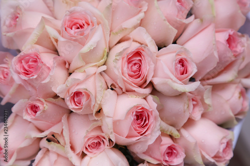 Closeup of a pack of beautiful pink roses for selling in flower market.