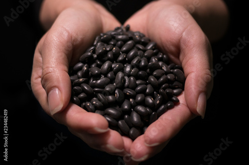 Woman's hands holding raw uncooked black beans healthy whole food view from front shallow focus with black background.