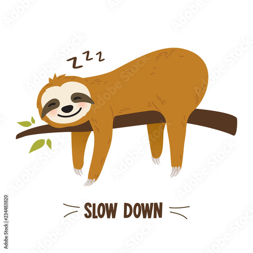 Cute cartoon sloth vector graphic design. Adorable hand drawn baby sloth character hanging on the tree. Illustration for nursery design, poster, greeting, birthday card, baby shower design and party