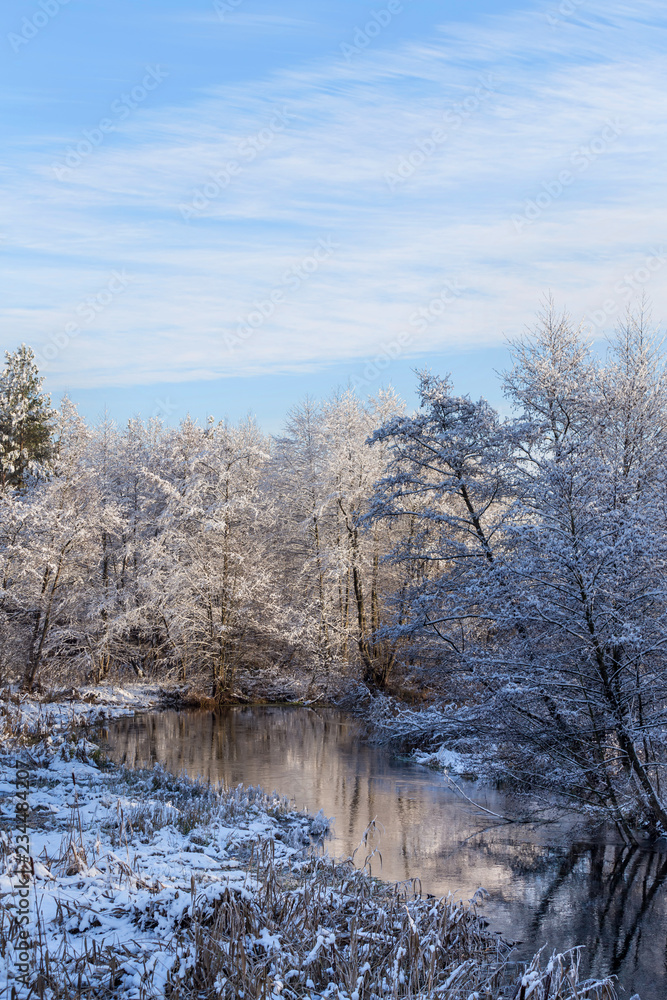 Freezing river on the background of snow-covered trees and blue sky. Beautiful Sunny winter landscape. Excellent detail and sharpness.