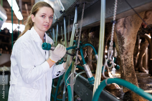 Woman working at milking line photo