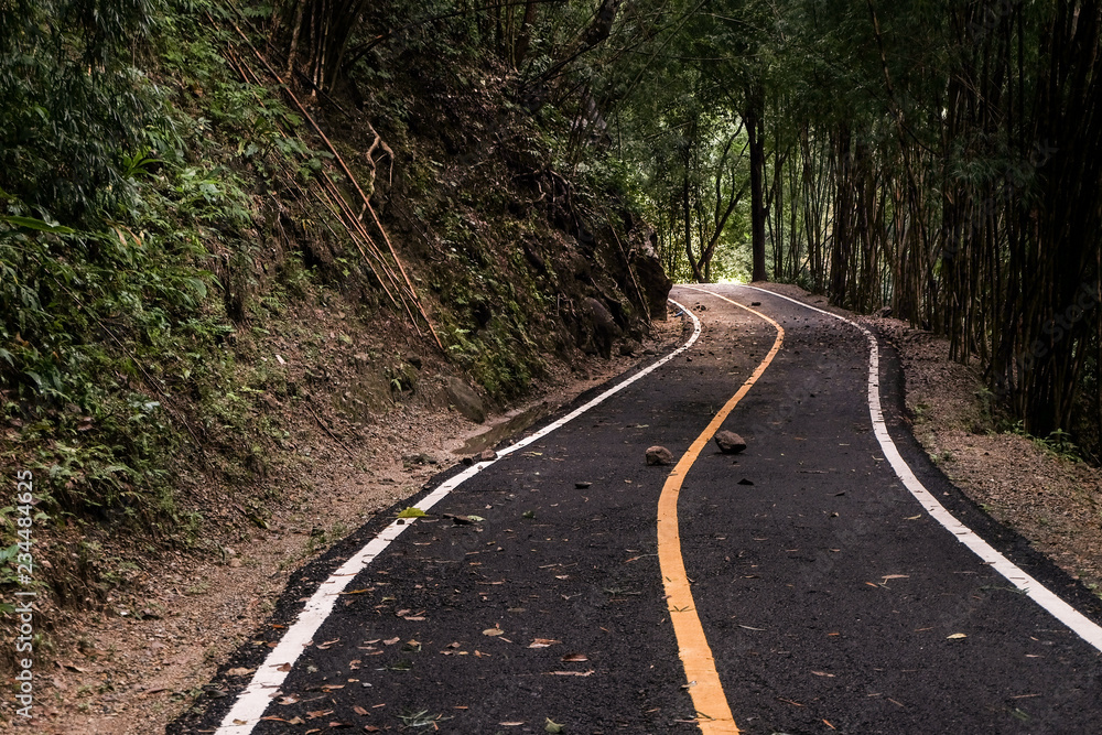 road , walkway into the green forest in National Park of thailand