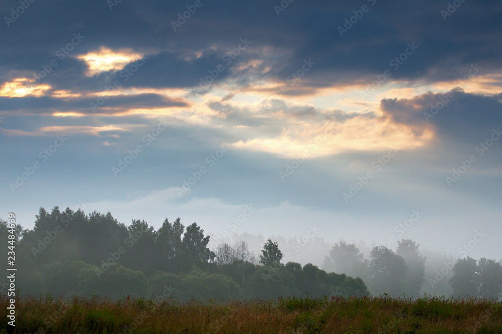 Landscape with mist on the field.