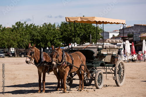 Fototapeta Naklejka Na Ścianę i Meble -  Coche de caballos en el Rocío, Huelva.