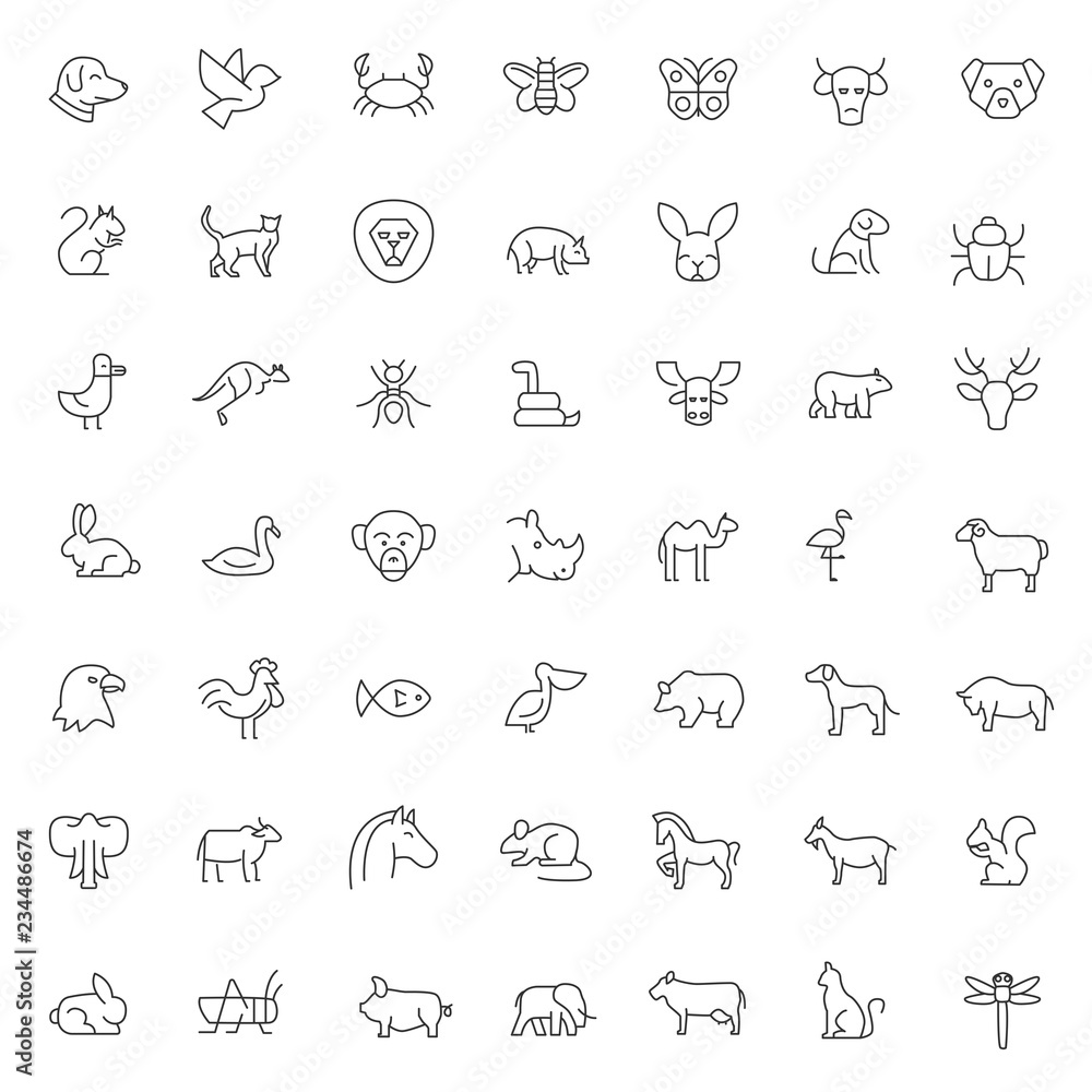 big set of pet and animals icons vector design with simple outline and  modern style, editable stroke Stock Vector | Adobe Stock