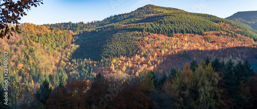 Fototapeta Naklejka Na Ścianę i Meble -  Le Vorhofkopf de Kaysersberg et la forêt communale de kaysersberg en automne, Alsace, France
