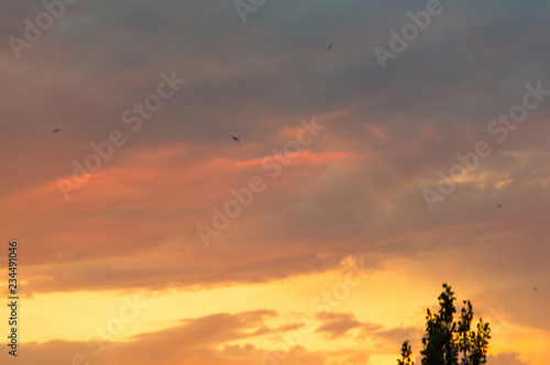 Landscape with dramatic light - beautiful golden sunset with saturated sky and clouds.