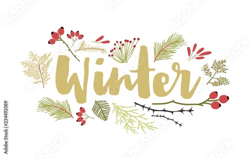 Winter lettering handwritten with cursive calligraphic font and decorated by coniferous tree branches and berries