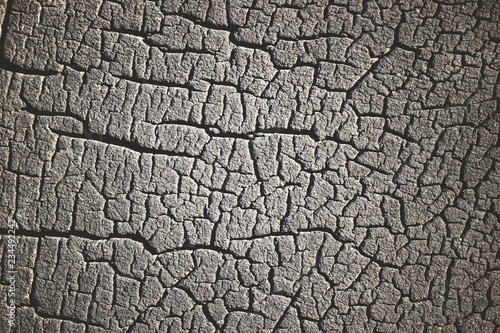 Texture of of tire cracks. Suitable for use as background articles about automotive.