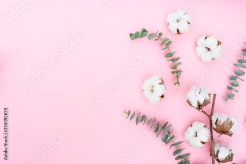 Cotton flowers with eucaliptus floral top view flat lay top view fall pattern on pink background