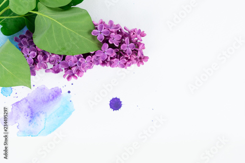 Photos Volet lilac flowers over white background with watercolor paint splashes, flat l