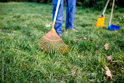 Man sweeping leaves with orange rake on the green lawn, close-up view with no face