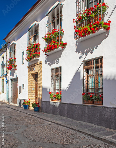 Old town of Cordoba with fl...