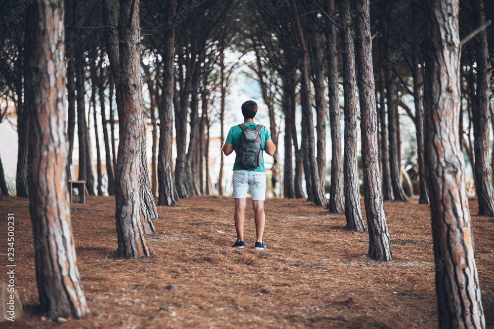 Tourist young man walks in forest with backpack
