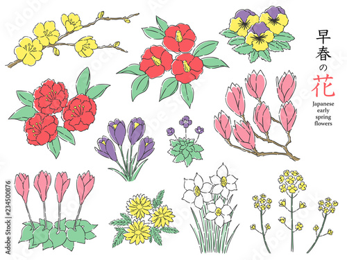 早春花セット