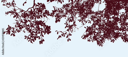 Vector image of silhouettes of oak branches in autumn