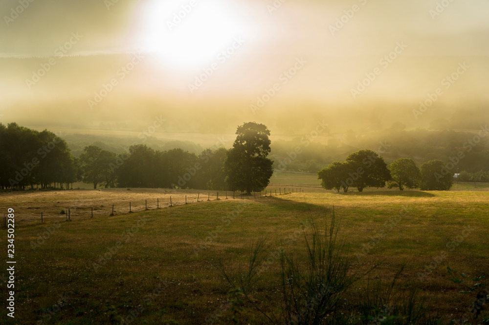 Fototapeta premium Foggy meadows in Galicia Spain