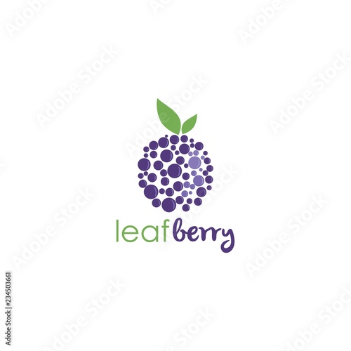 Blueberry Simple Logo, Sign, Icon, Template Vector Design
