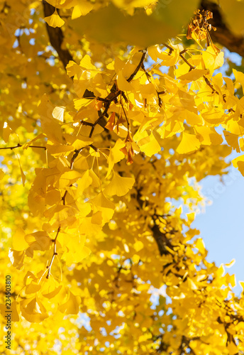 Place de la Republique Theatre de Strasbourg, France