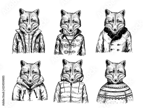 Sketch of fox in winter jacket. Hand drawn vector illustration