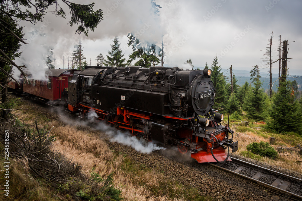 Naklejka premium Kolej Harz Brocken w drodze do Brocken