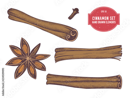 Vector collection of hand drawn colored  cinnamon
