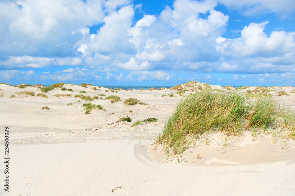 Landscape dunes in front of empty beach