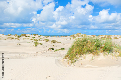 Landscape dunes in front of empty beach
