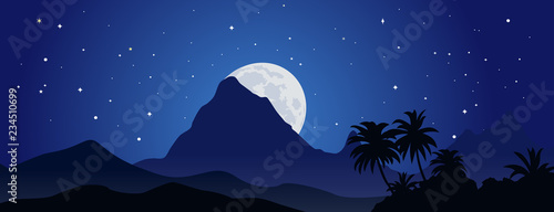 Beautiful mountain landscape at starry moonlight night. Vector illustration.