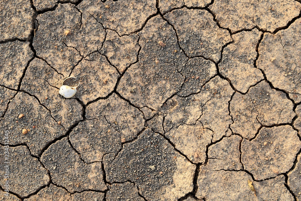 surface dry soil for background surface dry soil for background