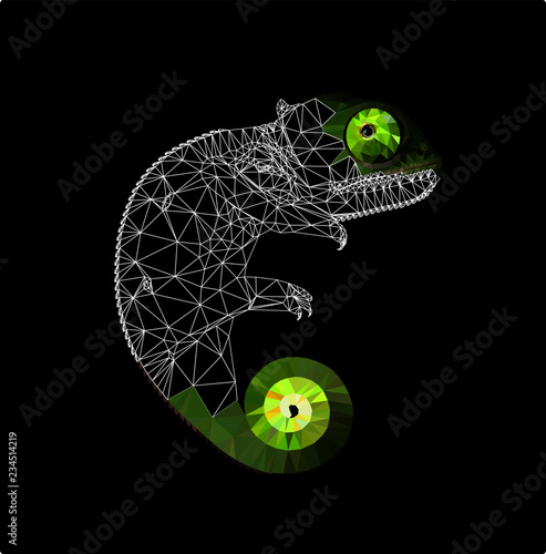 Low poly chameleon on black background, vector illustration EPS 10 isolated.  Polygonal style and wireframe trendy modern logo design. Suitable for printing on a t-shirt.