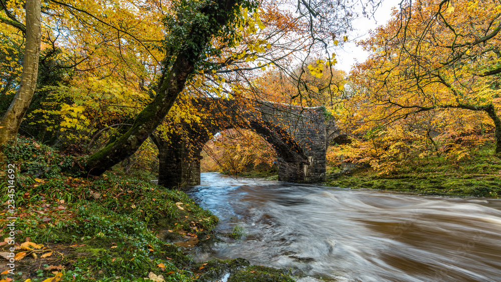 Walking along the river in autumnal Dartmoor, Devon England Walking along the river in autumnal Dartmoor, Devon England