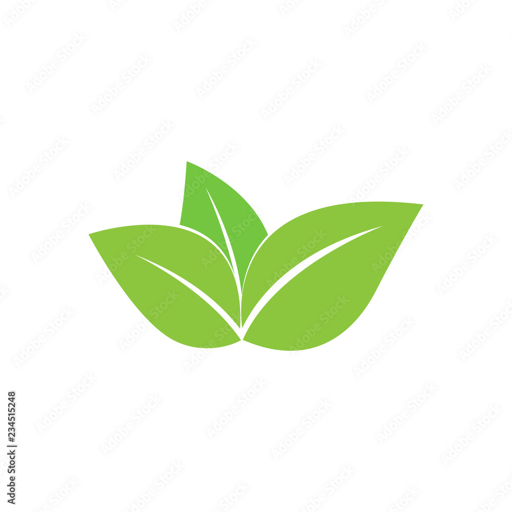 green leaves of the logo green leaves of the logo