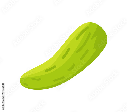 Cucumber Preserved Food Icon Vector Illustration