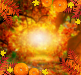 Autumn festive background with pumpkins and autumnal leaves for Thanksgiving