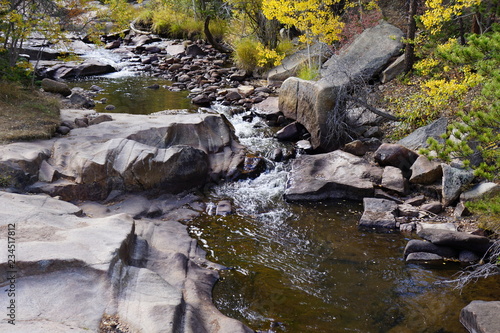 stream in forest © Mike