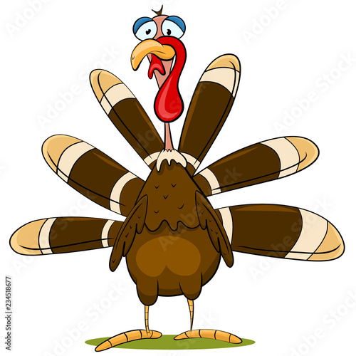 Cartoon Turkey Vector Illustration