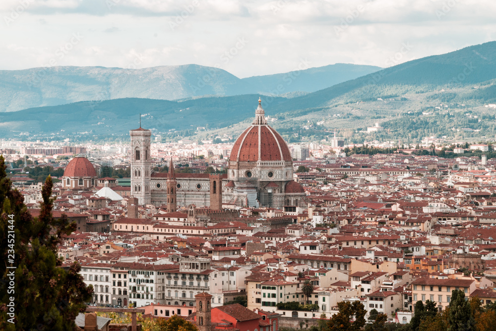 Panoramic views of Florence
