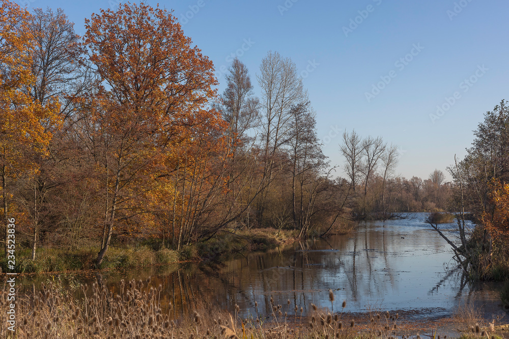 landscape landscape