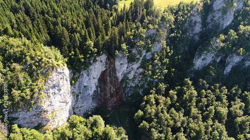 aerial view of wild nature forest in summer