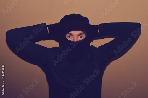 masked thief  © fiona_toke